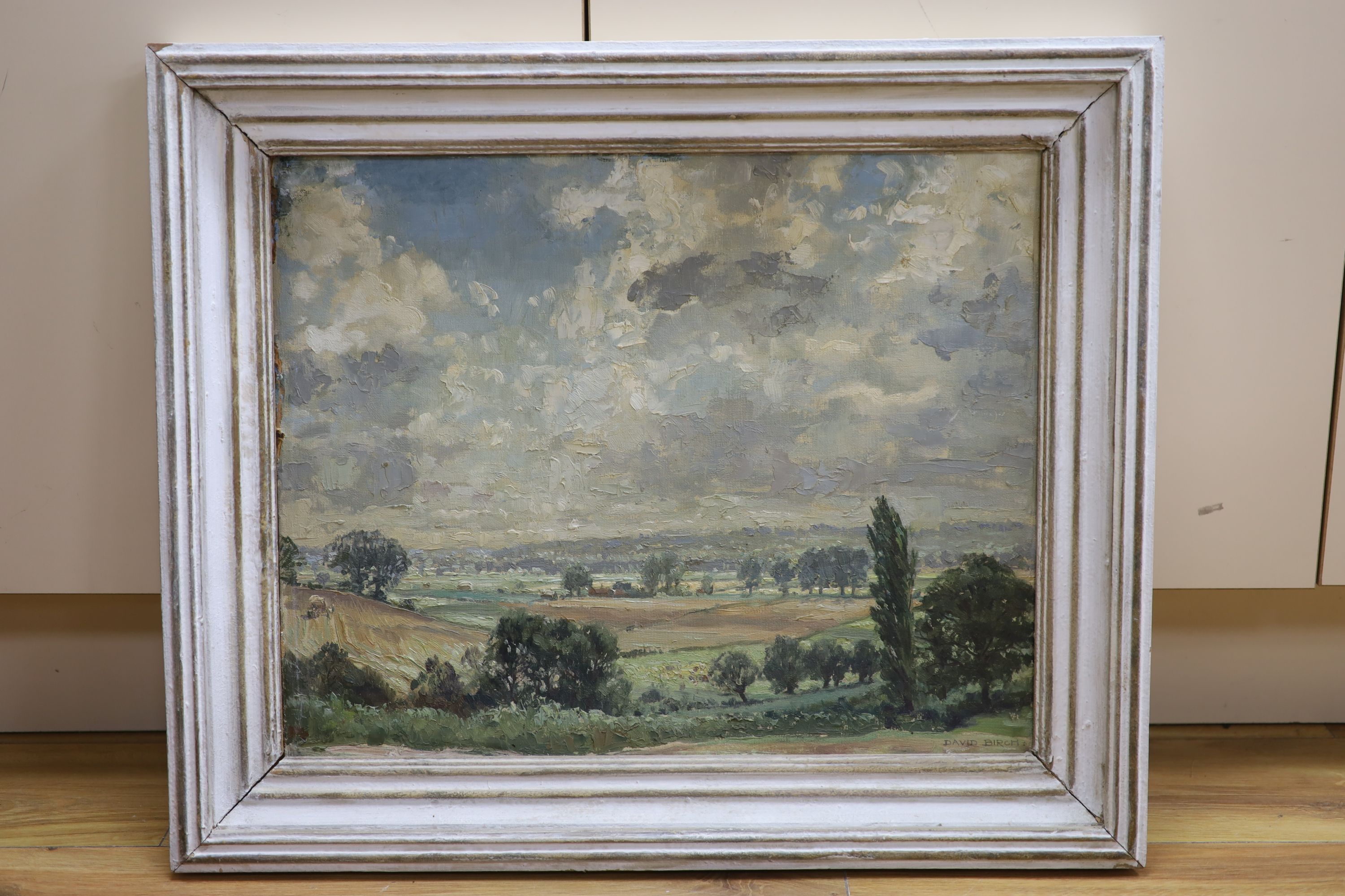 David Birch (b.1945), oil on board, 'The Valley of The Box, September', signed, 40 x 50cm